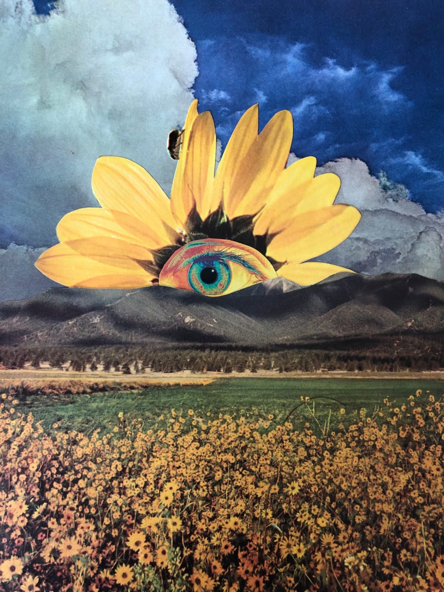 Untited by Nick Baccari aka Mr. Babies, Image 1.