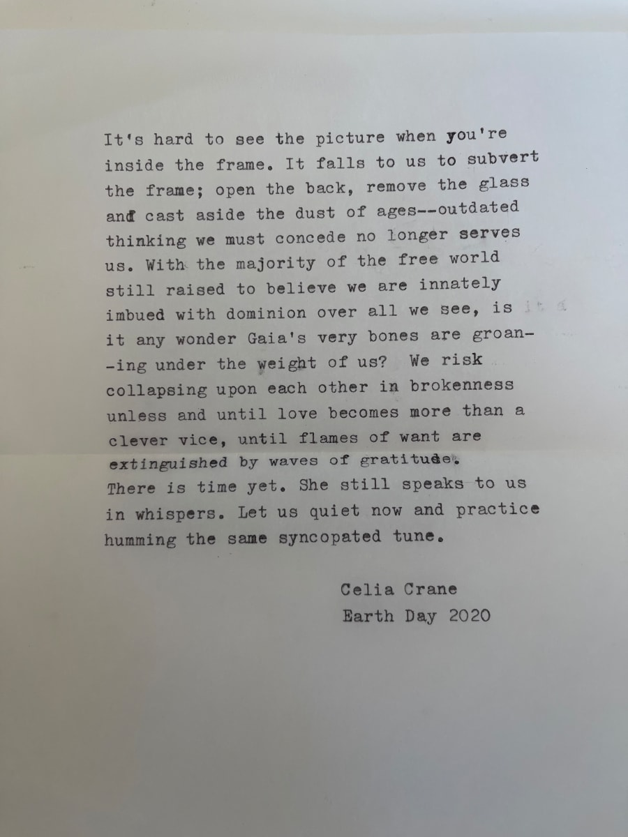 It is Hard to See the Picture When You're Inside the Frame by Celia Crane 