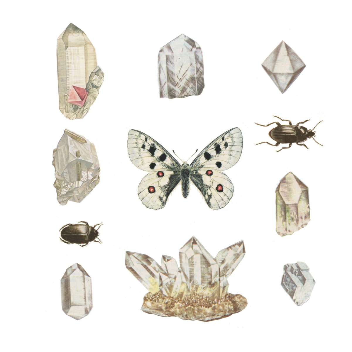 Study In WHITE by Clare  Celeste Börsch, Image 1.