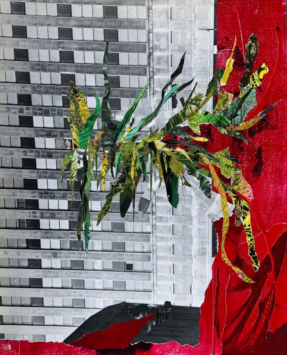 The houseplant's promise to the captive by Clive Knights, Image 1.