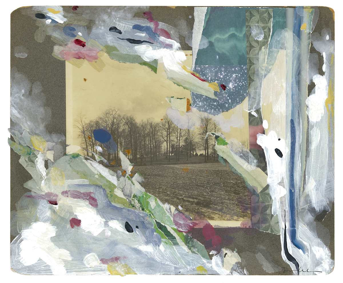 Space Between the Branches by Dana Caldera, Image 1.