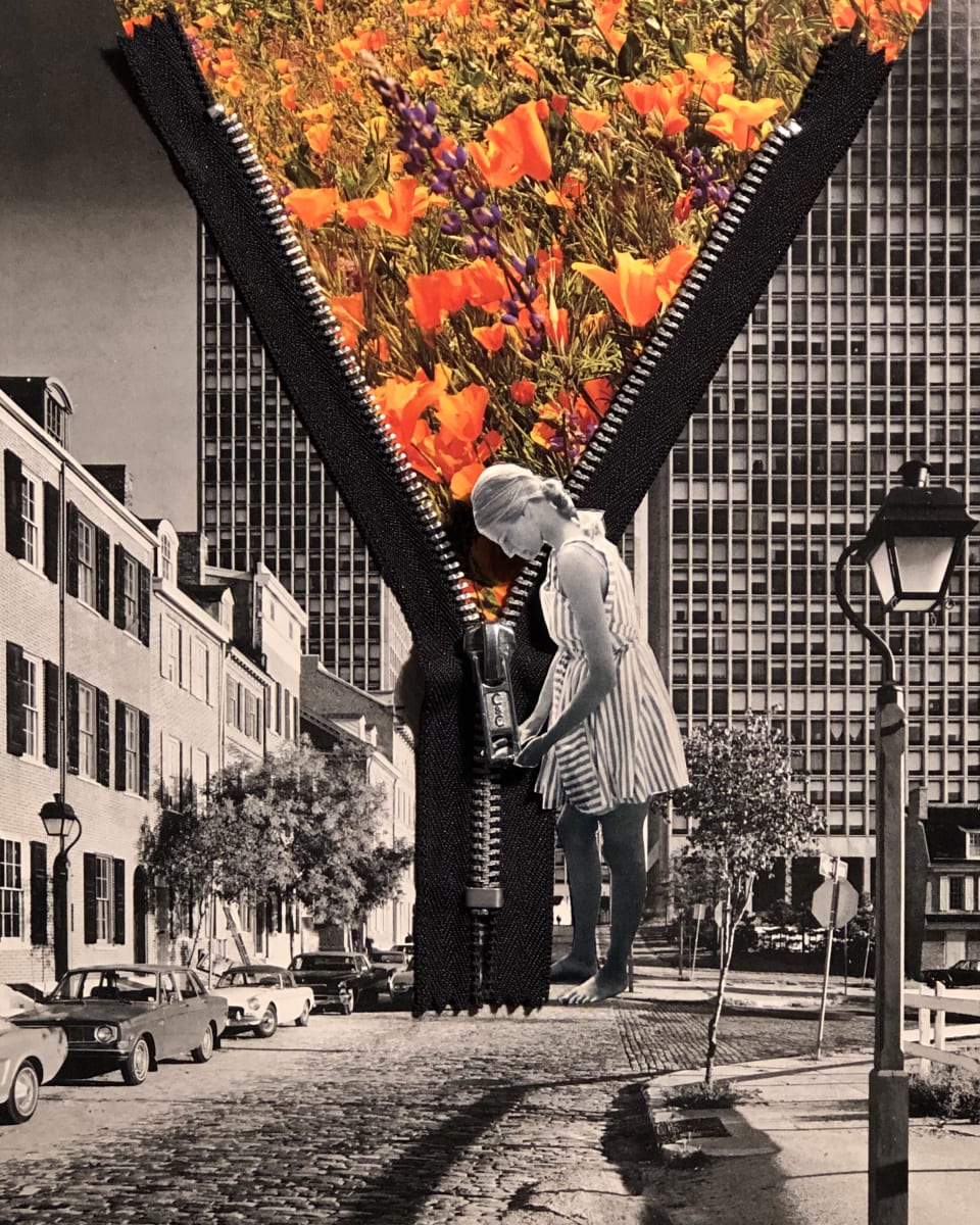 Zzzzzzip! by Donna Morello 