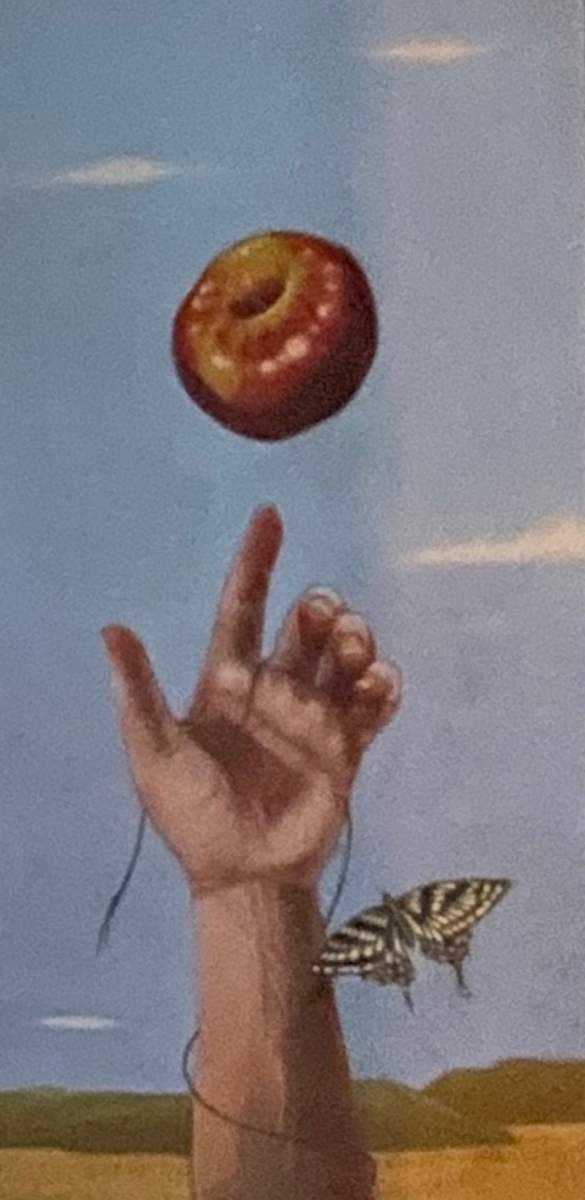 What We See by Sarah Wauzynski 