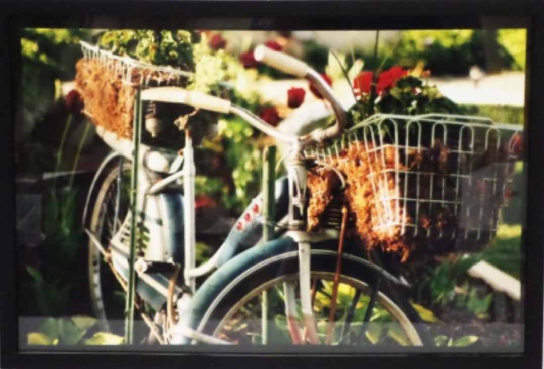 Untitled by Lisa Tri, Image 1.