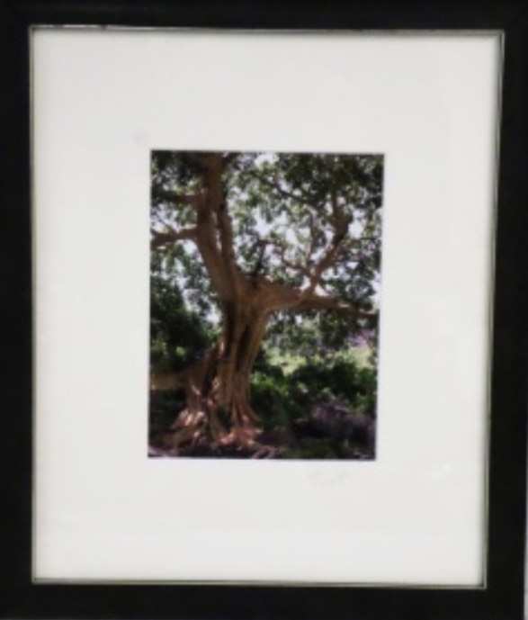Untitled by Rob Prout 