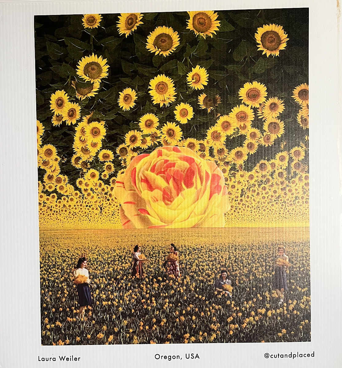 Untitled by Laura Weiler 