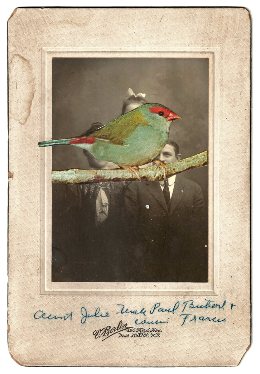 Aunt Julie by James Gallagher  Image: Aunt Julie by James Gallagher