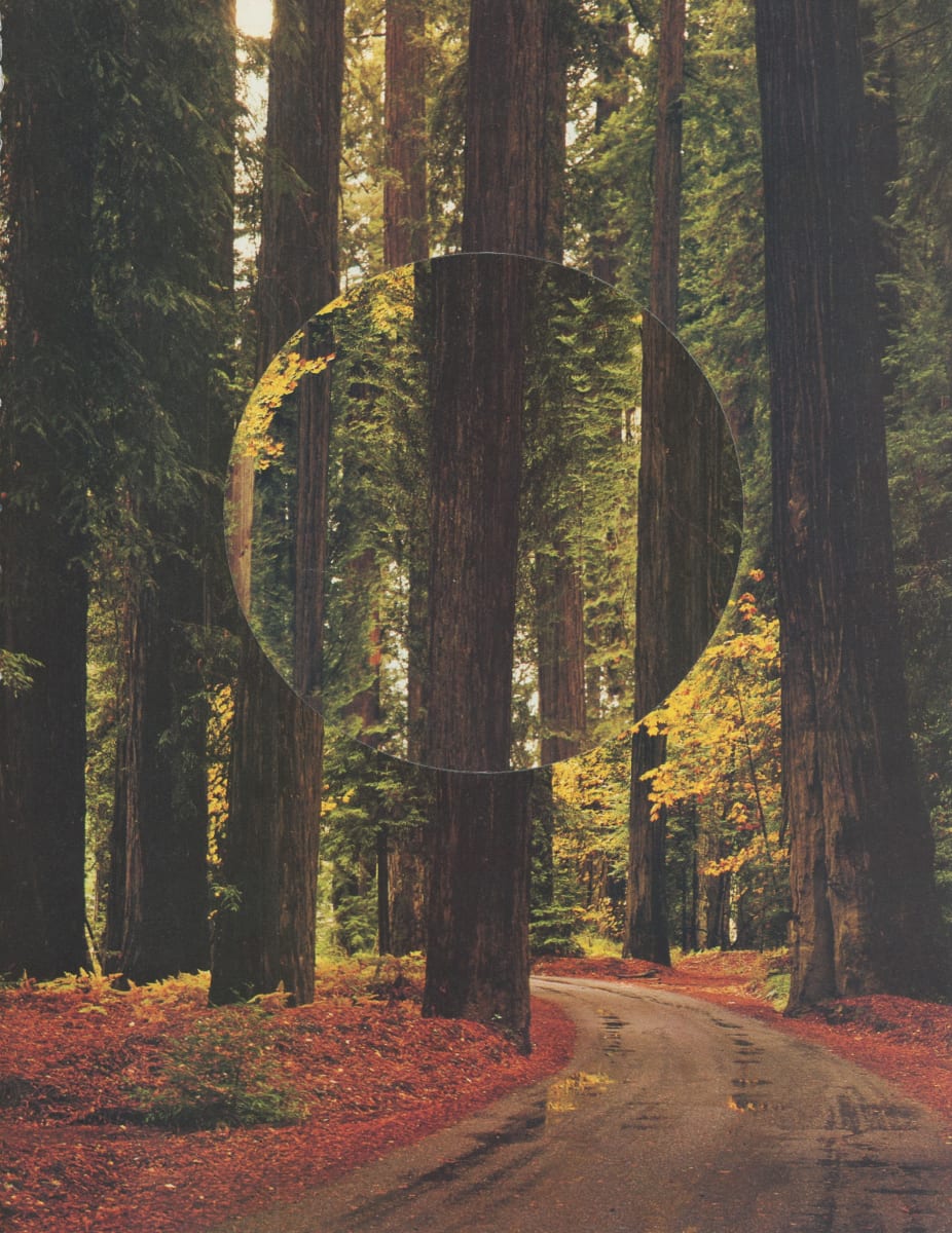 Lost by Erin Houghton 