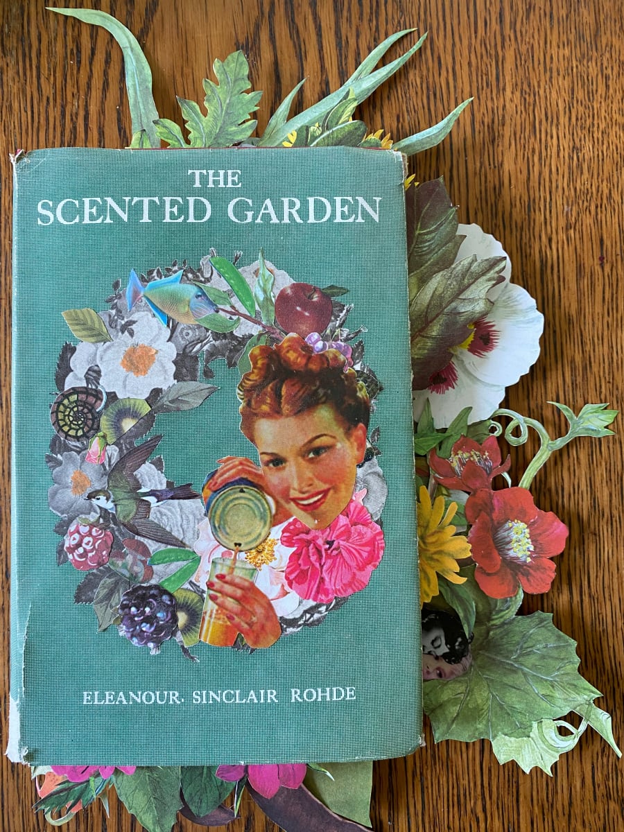 A Garden Transformed by Marla Thornington Martin, Image 1.