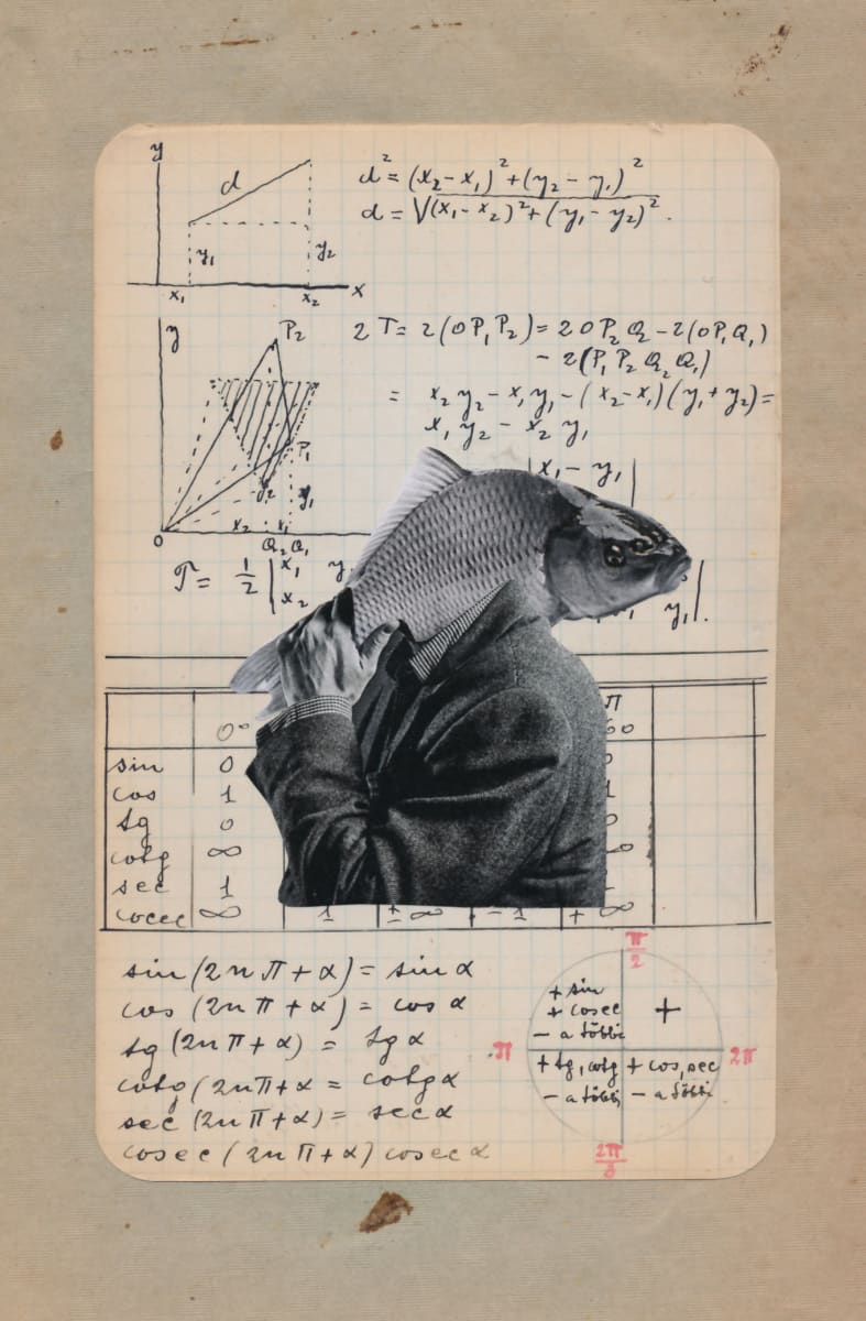 Fish by Susanna Lakner, Image 1.