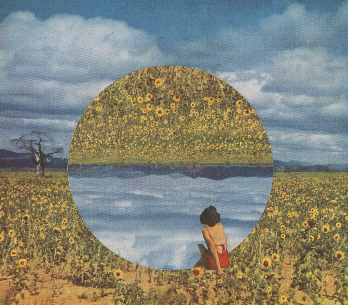 Untitled by Erin Houghton, Image 1.