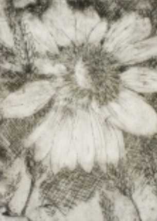 Blanket Flower by Craig Hotchkiss, Image 1.