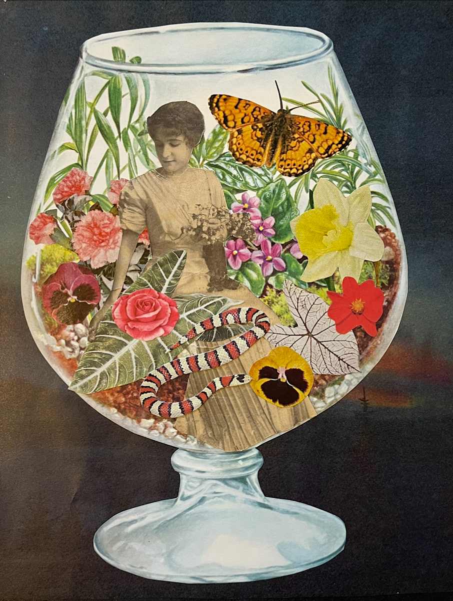 Finding Calm While We Wait by Caitlin Moline, Image 1.