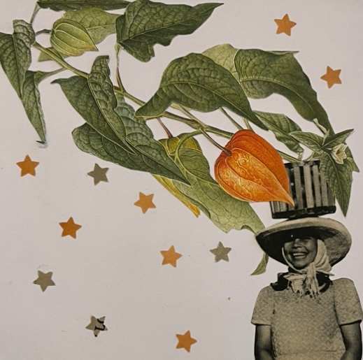 Untitled by Angela Gibbons ala Miss Printed 