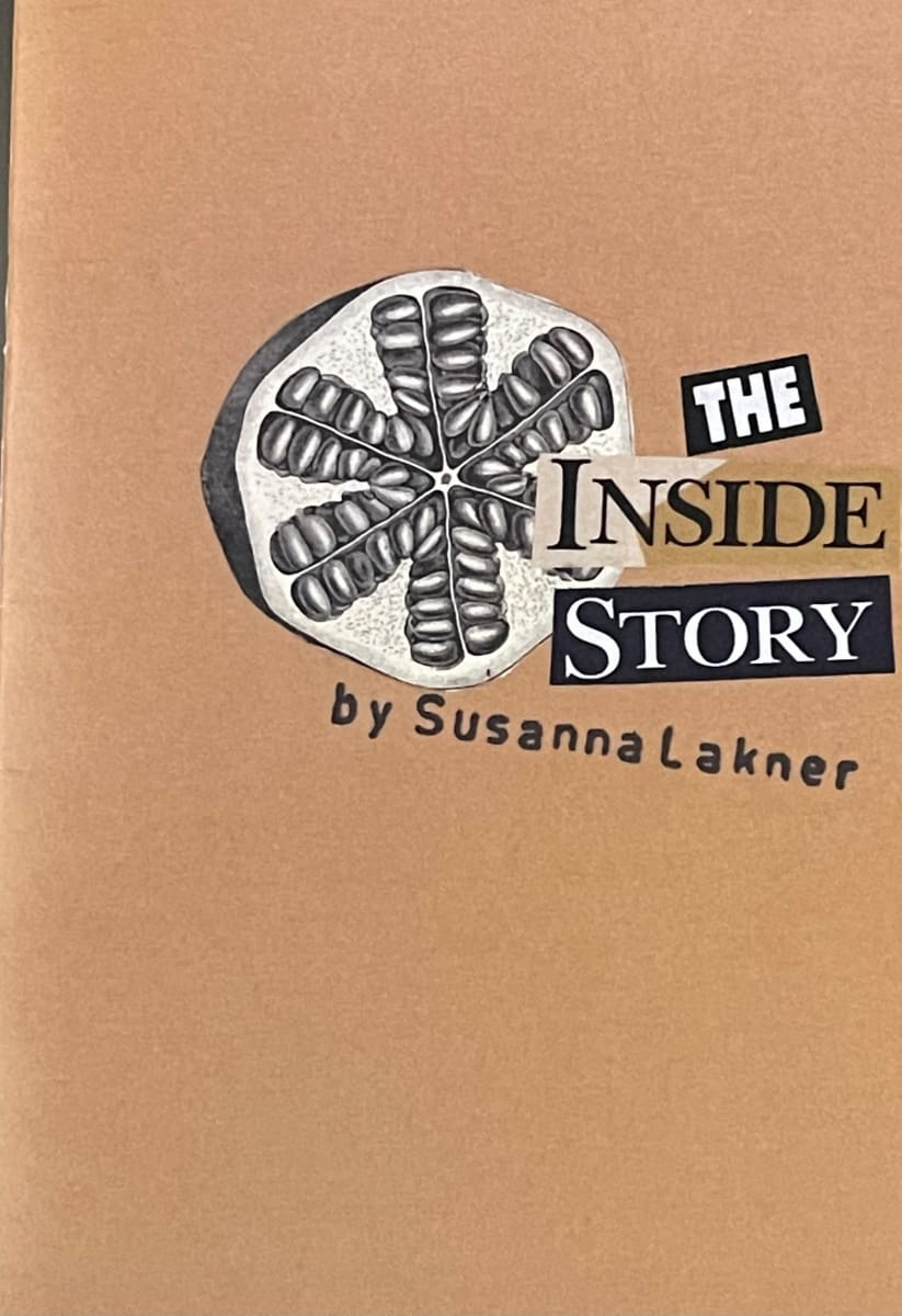 The Inside Story  Image: The Inside Story by Susanna Lakner