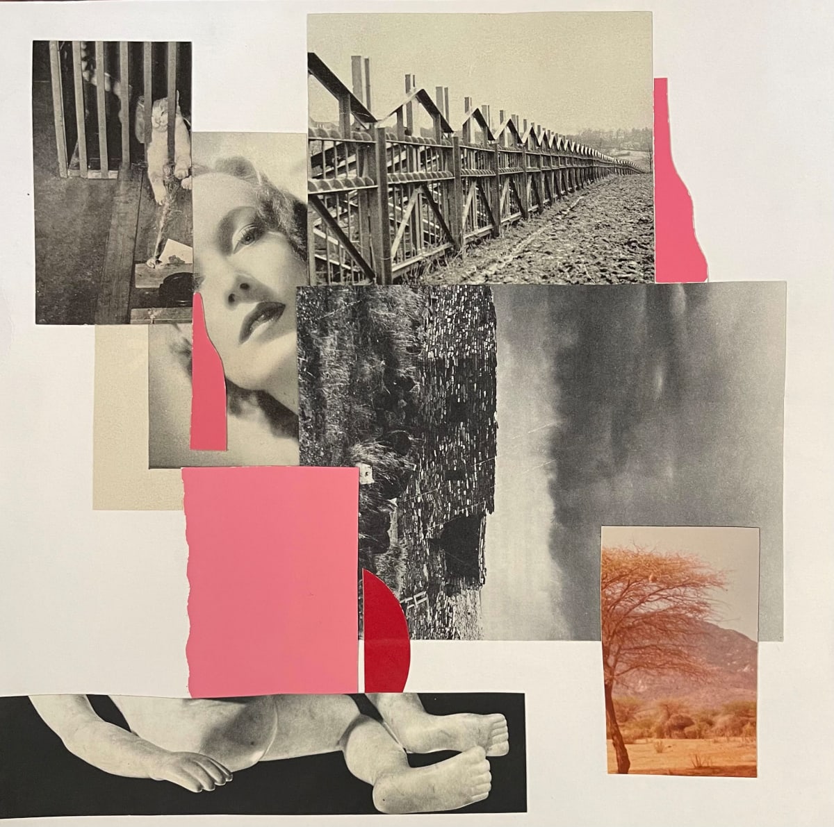 Psychotropic Dream by Mario Zoots, Image 1.