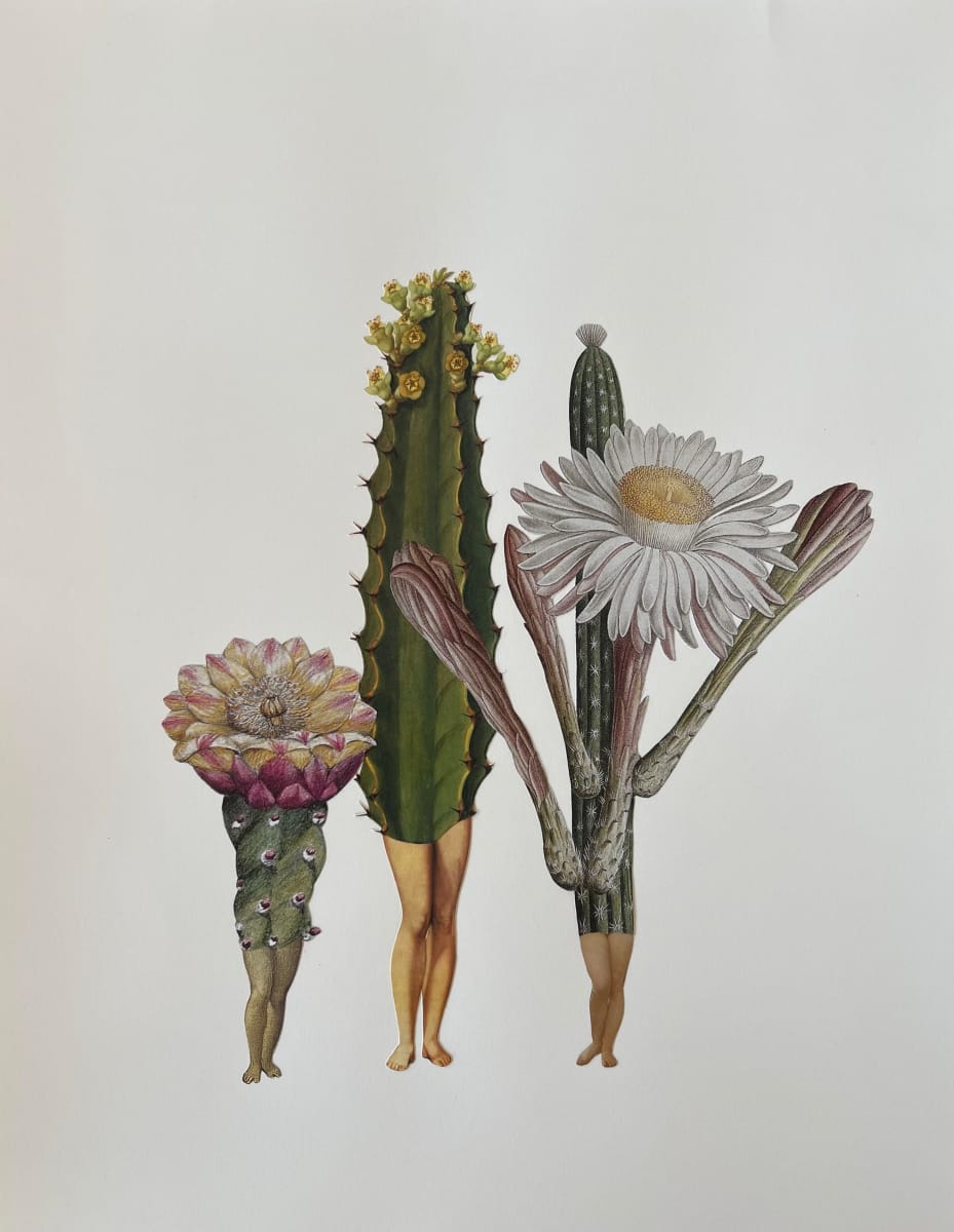 Untitled by Amy Ross 