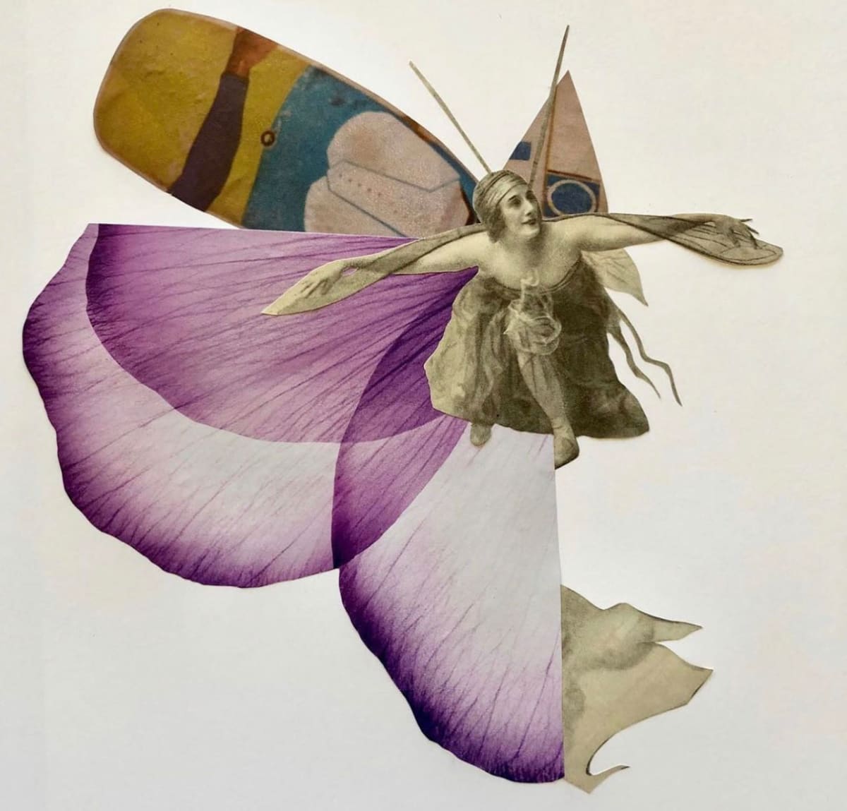In Full Sight by Laurie Kanyer  Image: In Full Sight