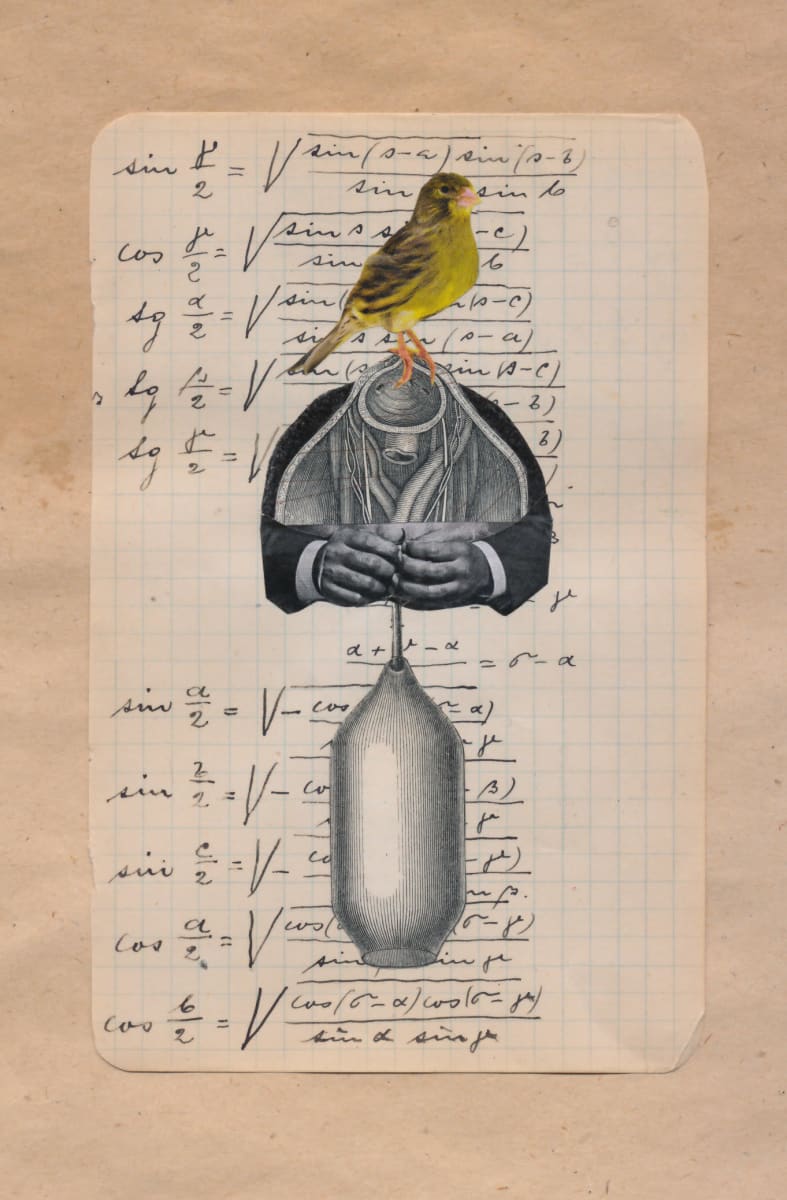 Bird by Susanna Lakner 