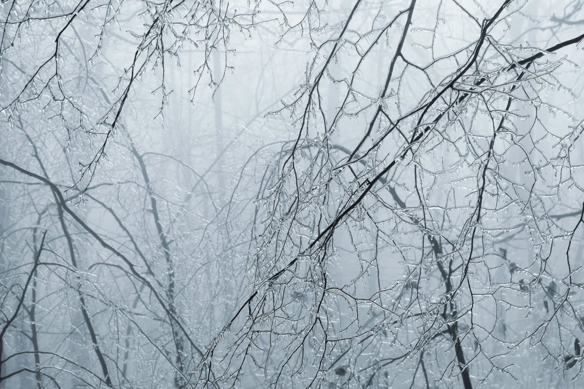 Ice storm II 