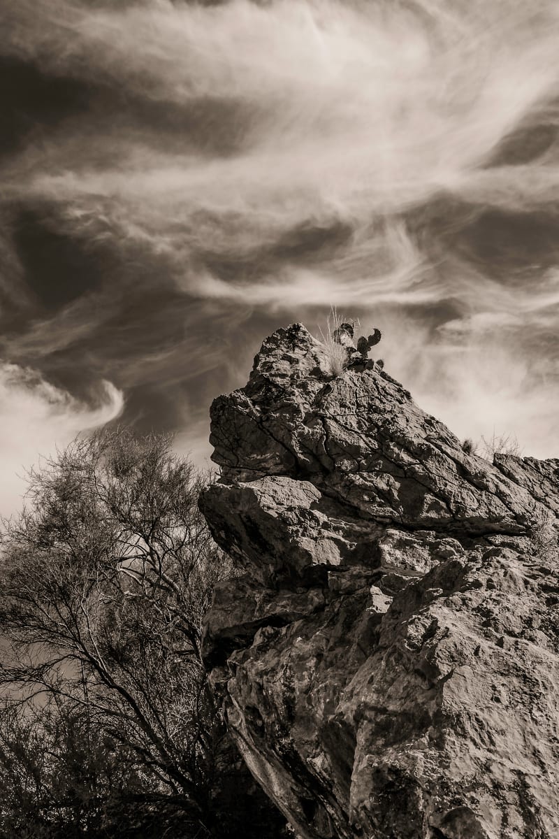 gila monster mine 