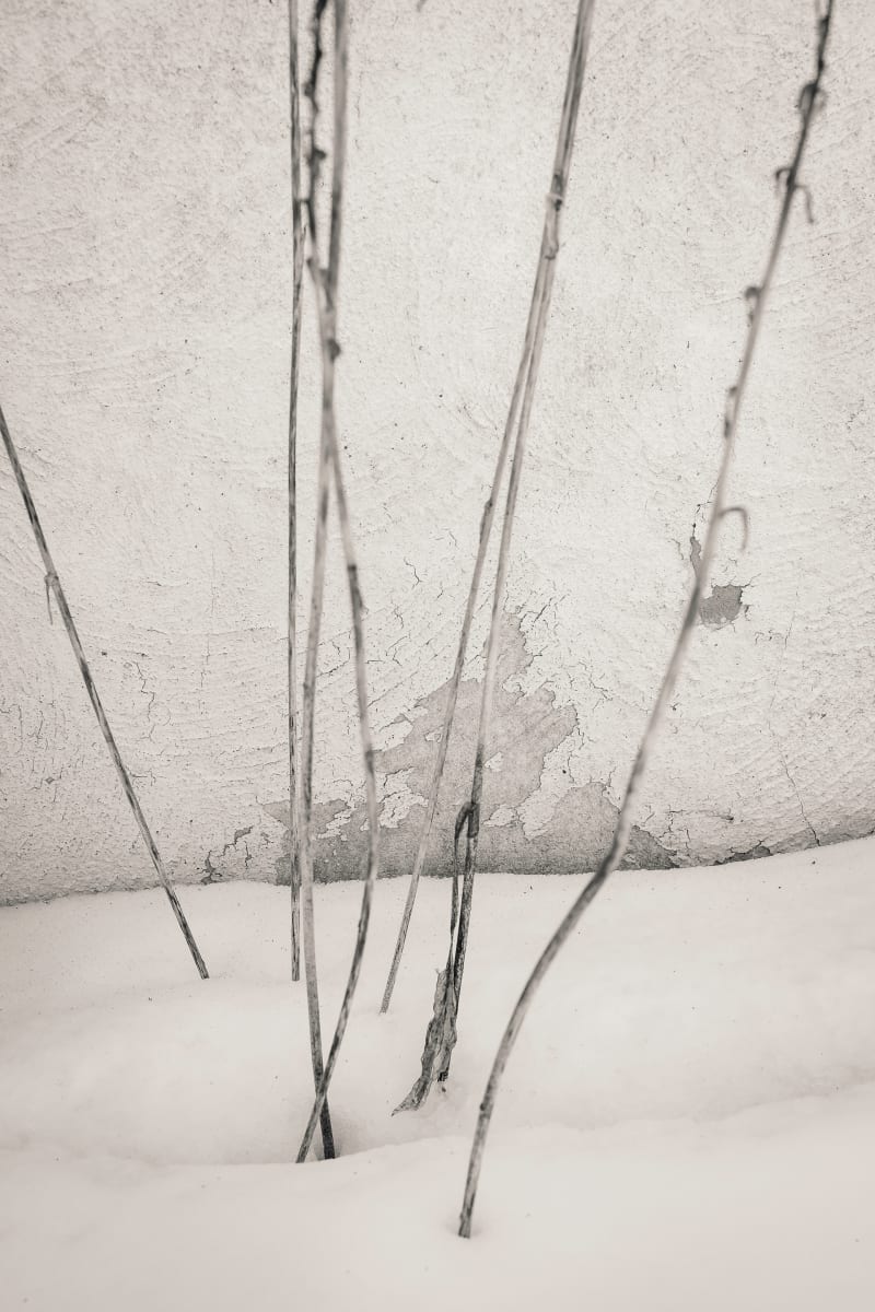 winter wabe sabi1, Image 1.