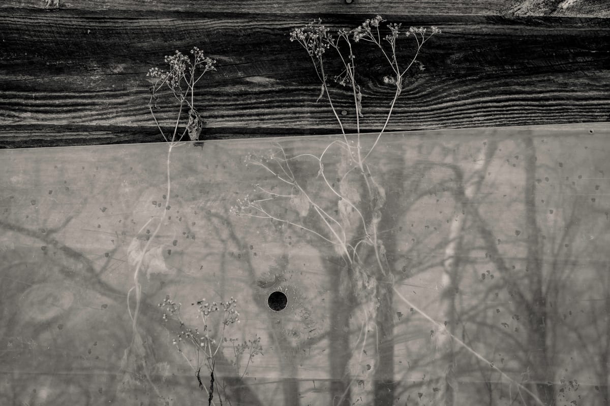 winter wabe sabi2 by Kelly Sinclair, Image 1.