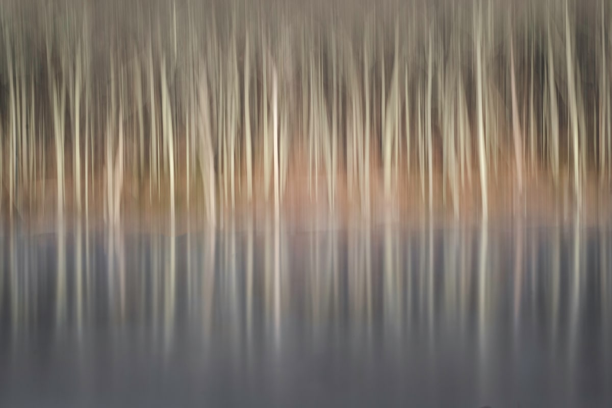 Winter Reflection by Kelly Sinclair 