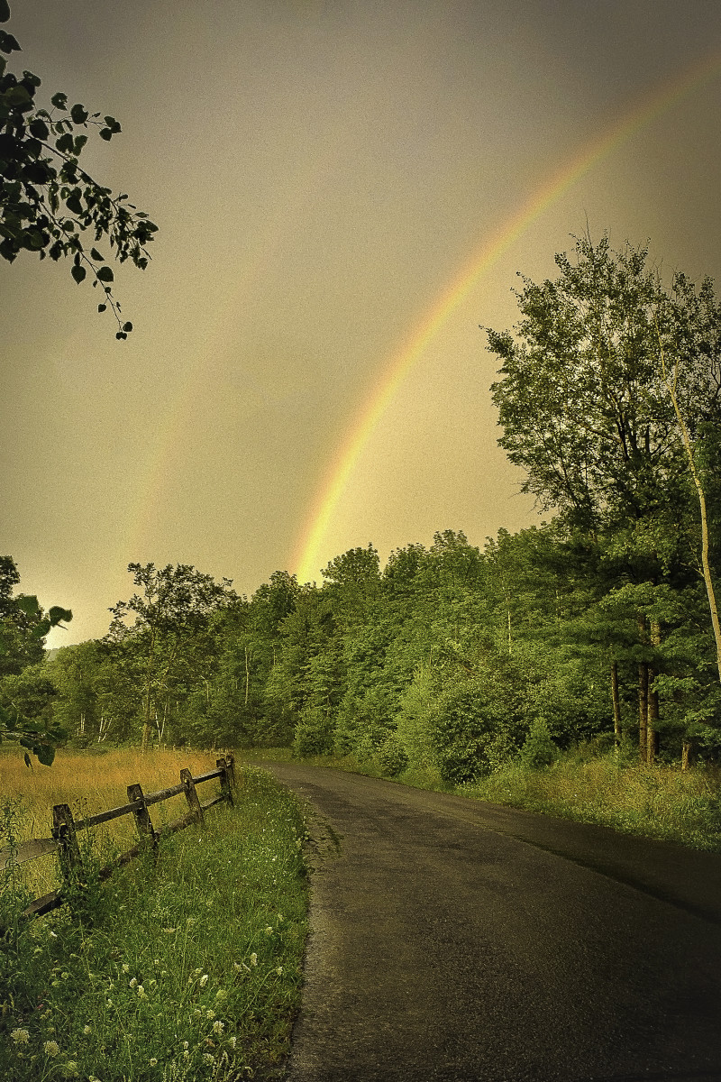 MacDaniel Road, After the Storm by Kelly Sinclair 