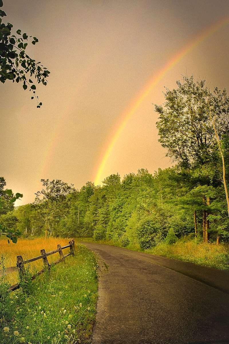 MacDaniel Road, After the Storm by Kelly Sinclair, Image 1.