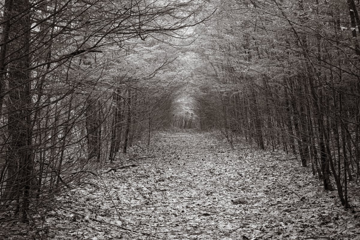 mt guardian trail by Kelly Sinclair 
