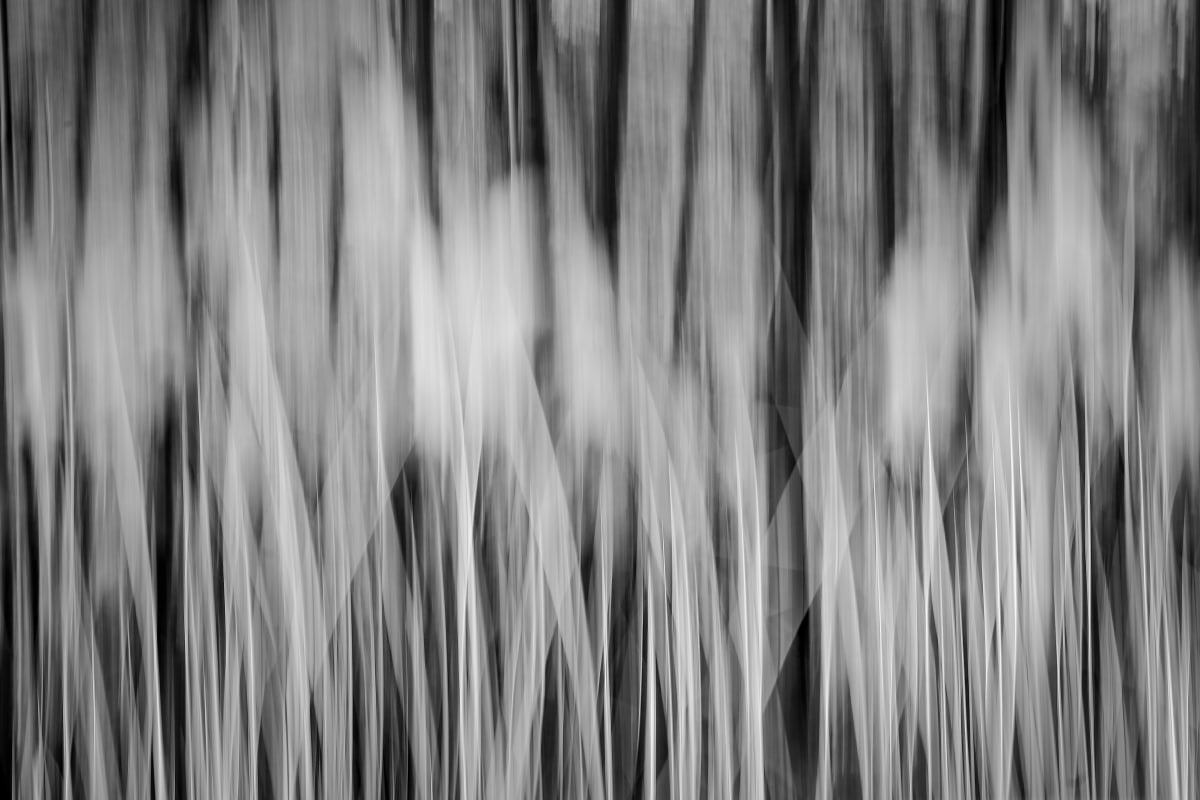 abstract reeds by Kelly Sinclair 