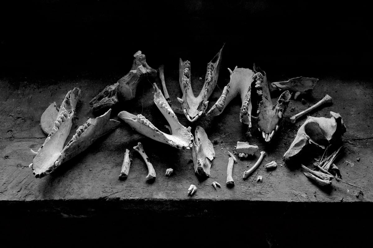 Bones, Image 1.