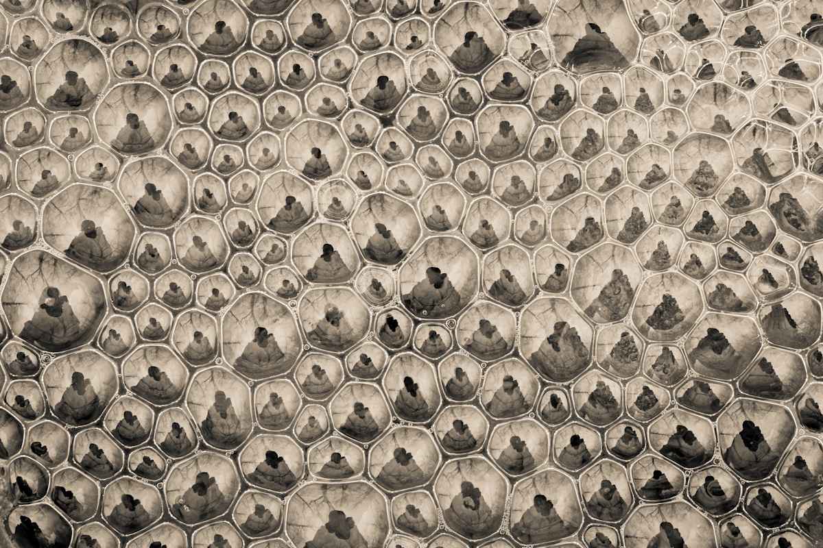 reflections by Kelly Sinclair, Image 1.