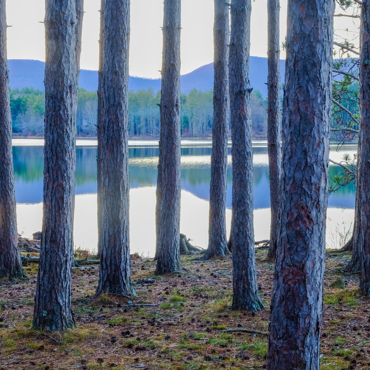 Reflection Cooper Lake by Kelly Sinclair 