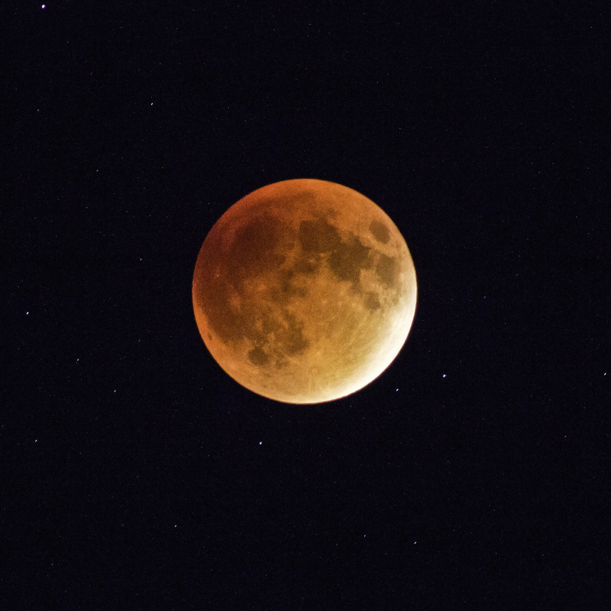 Eclipse, Blood Moon by Kelly Sinclair 