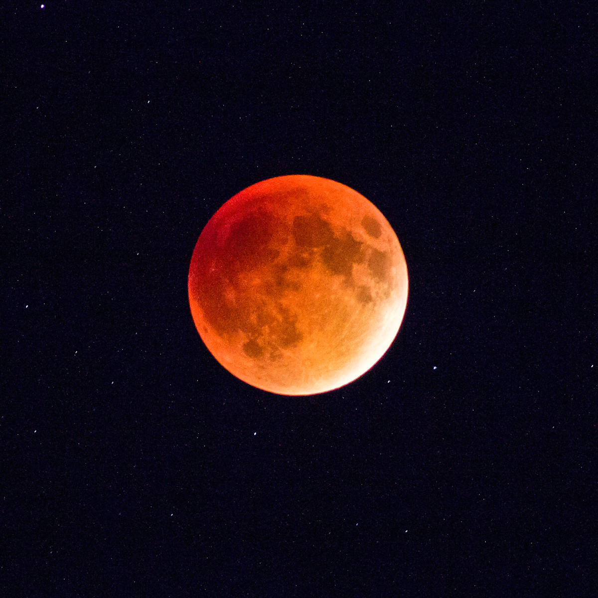 Eclipse, Blood Moon by Kelly Sinclair, Image 1.