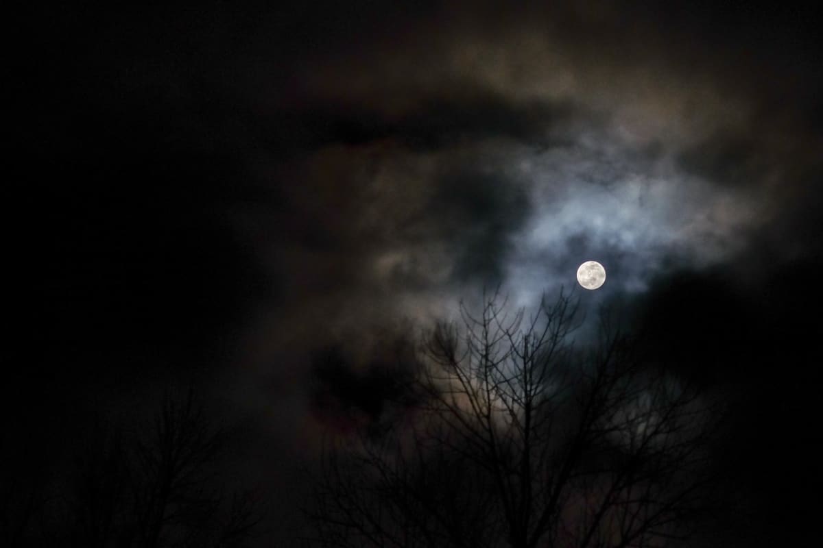 full moon in january by Kelly Sinclair 