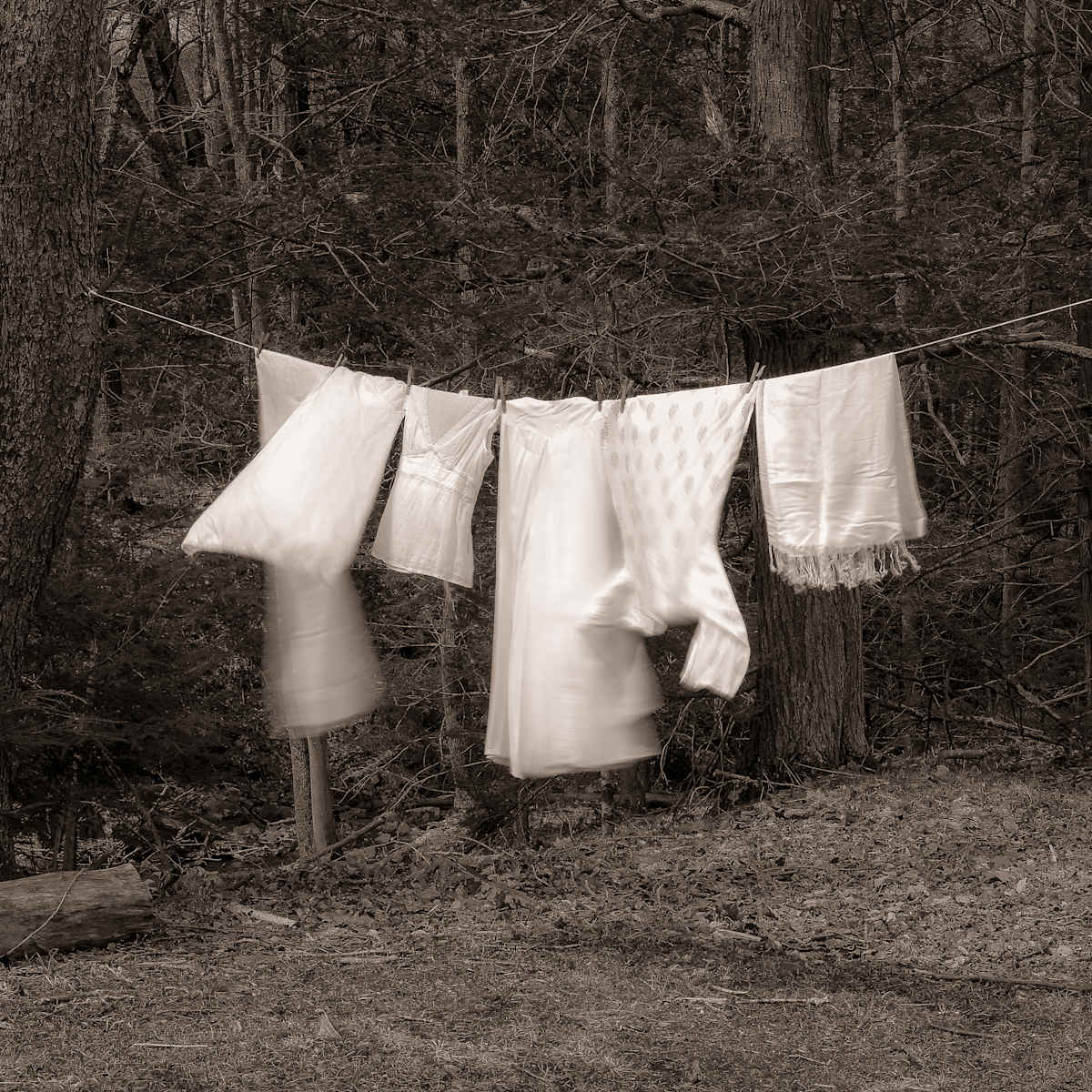 clothesline, Image 1.