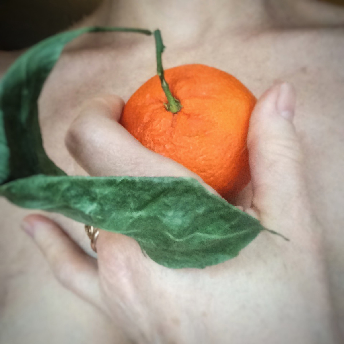 Mandarin by Kelly Sinclair 