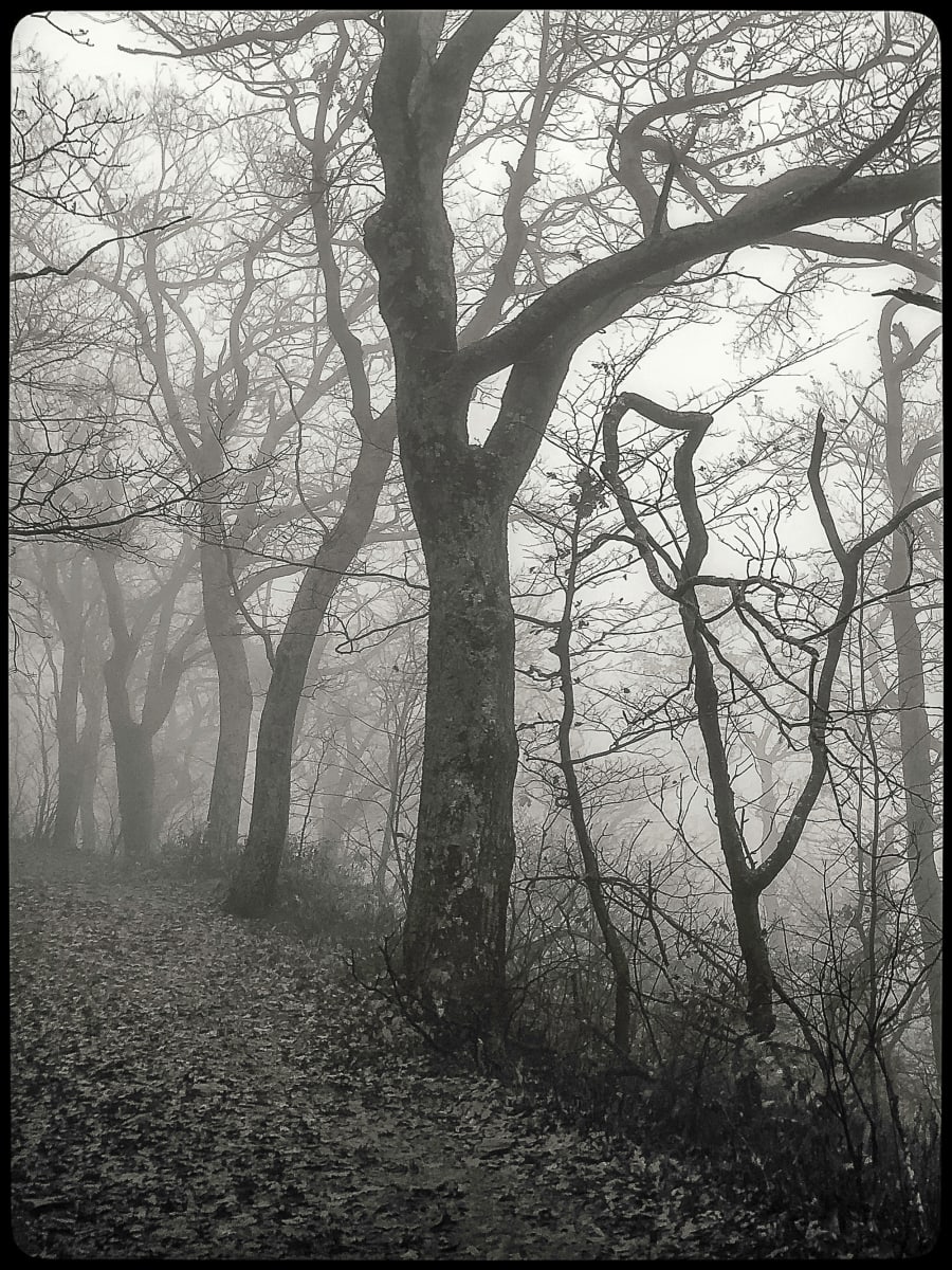 Overlook Mountain, Image 1.