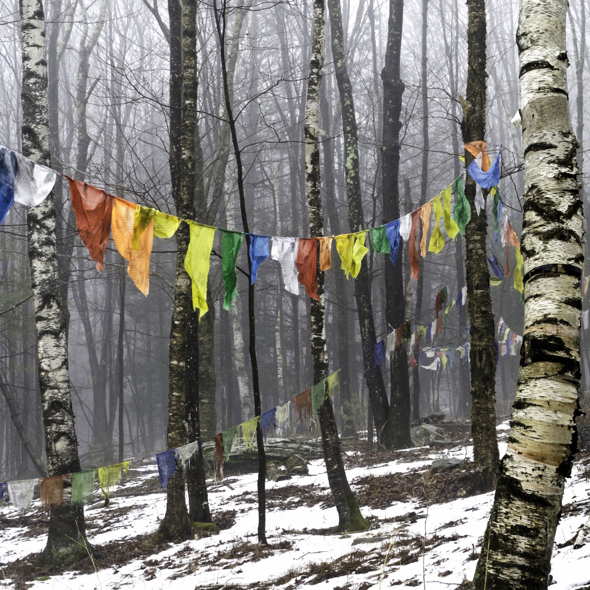 Prayer Flags, KTD, Woodstock, NY by Kelly Sinclair 