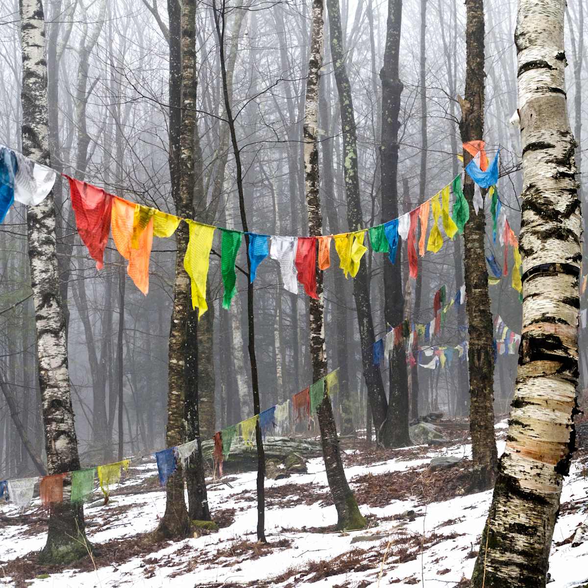 Prayer Flags, KTD, Woodstock, NY by Kelly Sinclair, Image 1.