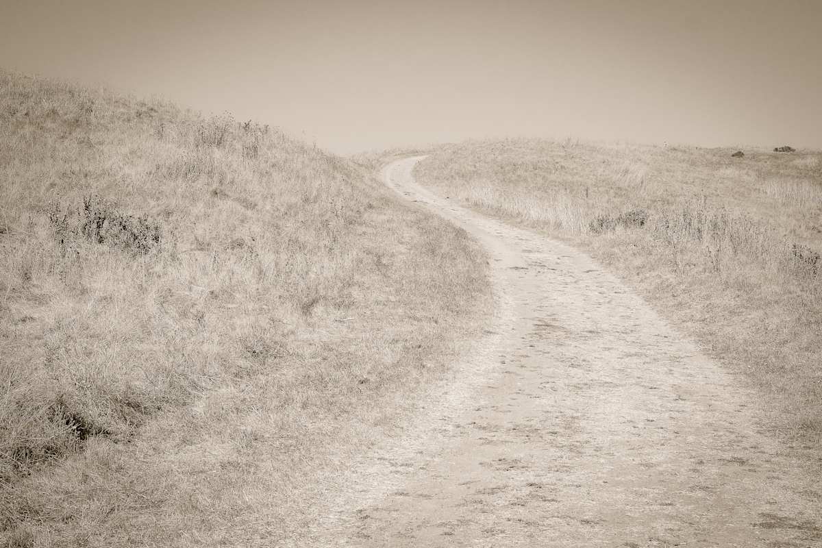 road by Kelly Sinclair, Image 1.