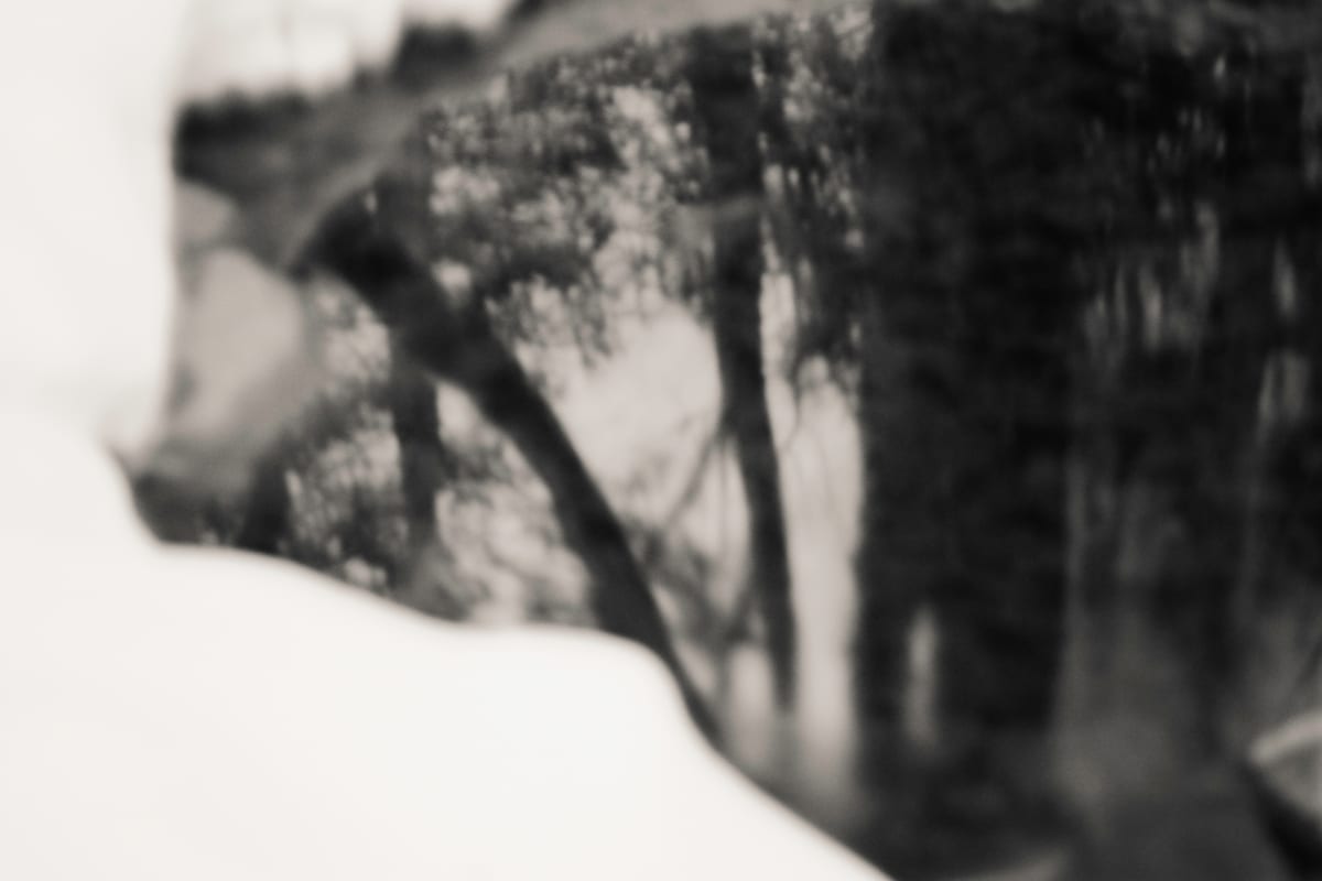 spring, Image 1.