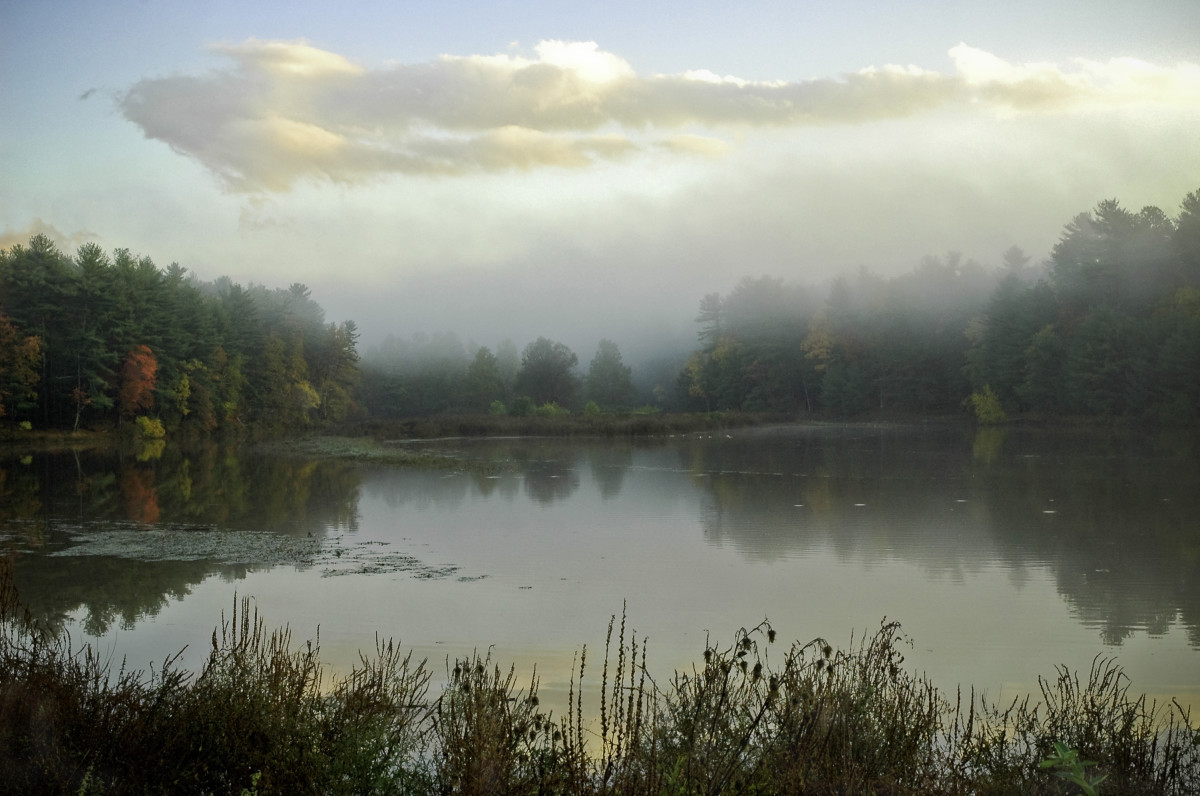 Kingston reservoir by Kelly Sinclair 