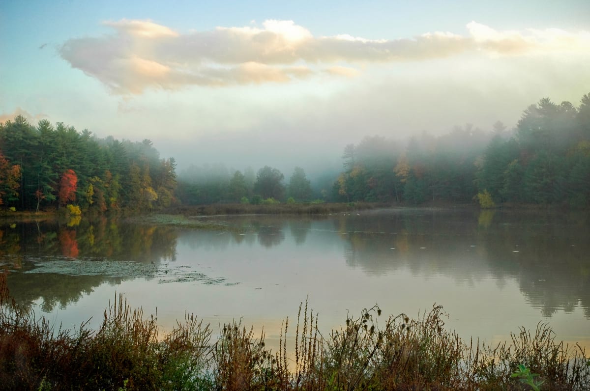 Kingston reservoir by Kelly Sinclair, Image 1.