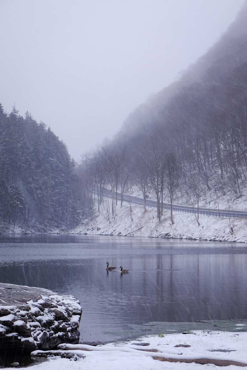 spring snow, Image 1.