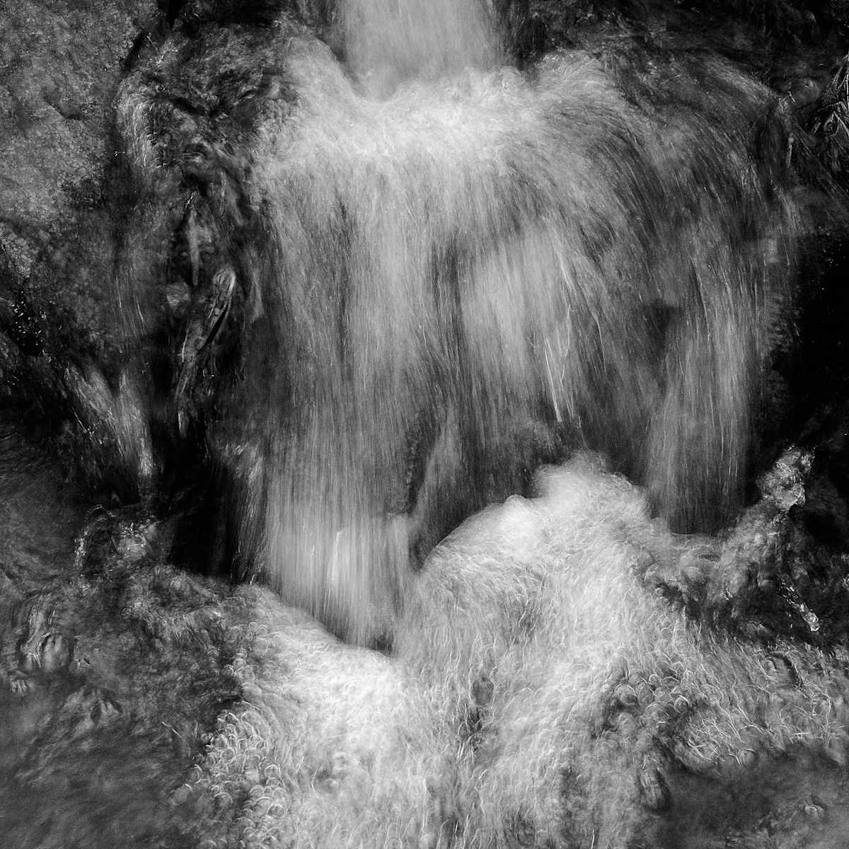 springwater, Image 1.