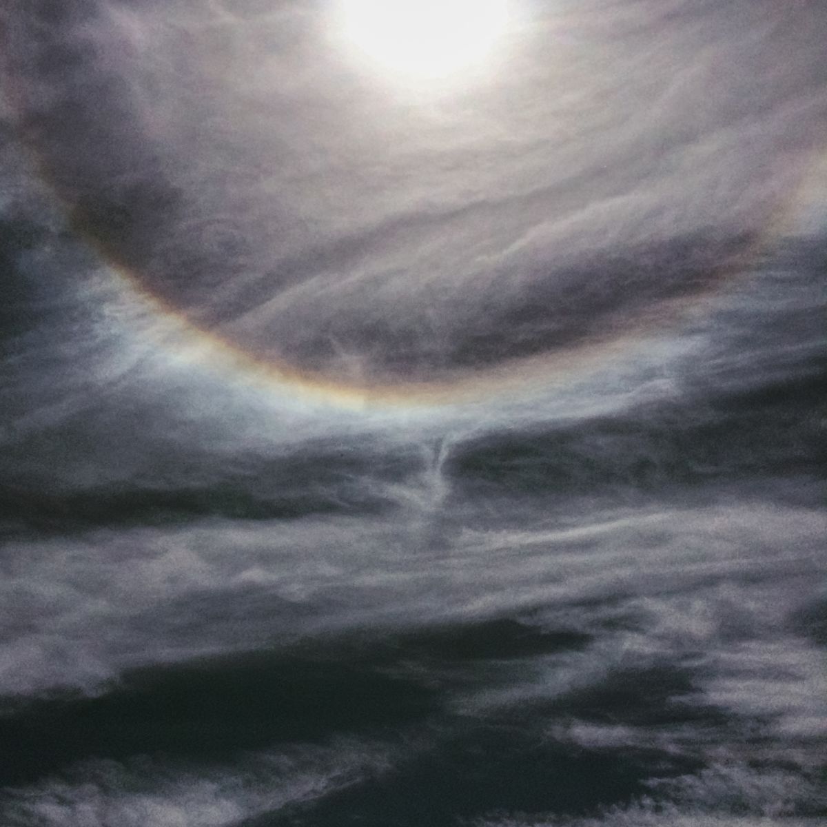 Sundog by Kelly Sinclair, Image 1.